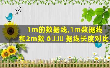 1m的数据线,1m数据线和2m数 💐 据线长度对比